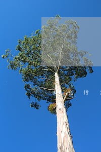 法院传票没在手里 法院传票没在手里