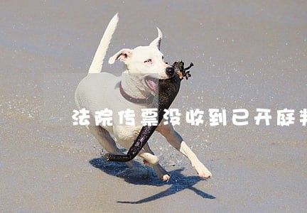 法院传票没收到已开庭判决 法院传票没收到已开庭判决