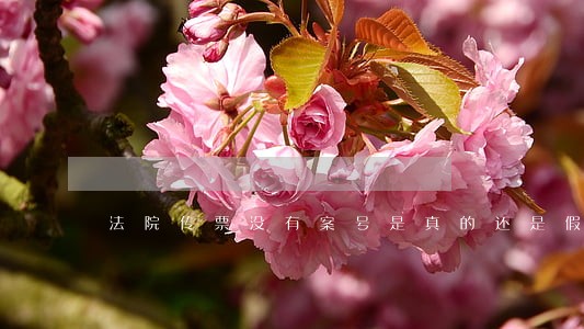 法院传票没有案号是真的还是假的 法院传票没有案号是真的还是假的