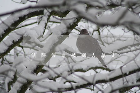 法院传票被别人拿走 法院传票被别人拿走