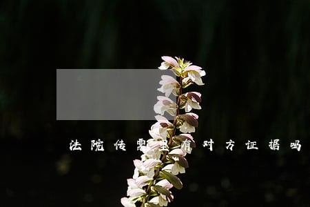 法院传票里有对方证据吗 法院传票里有对方证据吗