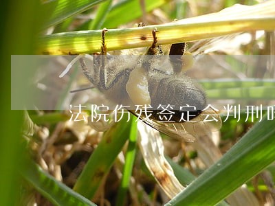 法院伤残签定会判刑吗 法院伤残签定会判刑吗