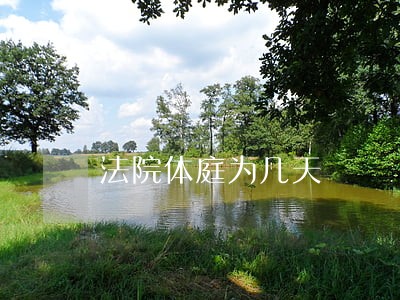 法院体庭为几天 法院体庭为几天