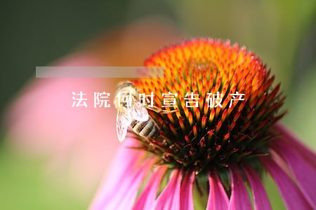 法院何时宣告破产 法院何时宣告破产