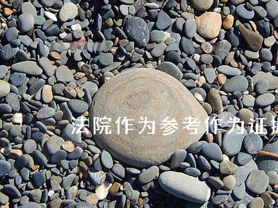 法院作为参考作为证据 法院作为参考作为证据