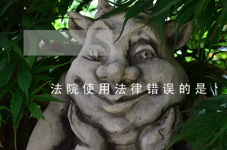 法院使用法律错误的是