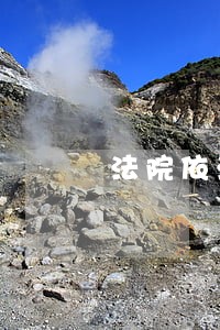 法院依法不干预 法院依法不干预