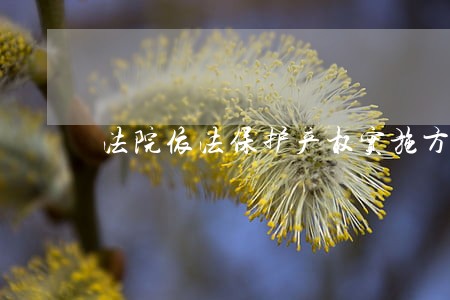 法院依法保护产权实施方案