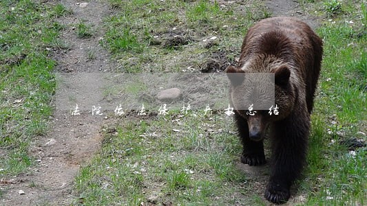 法院依法保护产权总结 法院依法保护产权总结