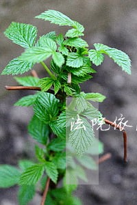 法院依法劝走钉子户 法院依法劝走钉子户