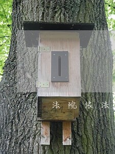 法院依法推定亲子关系 法院依法推定亲子关系