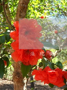 法院促104户业主和解