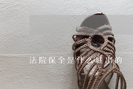 法院保全是什么庭出的 法院保全是什么庭出的