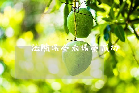 法院保全未保全成功 法院保全未保全成功