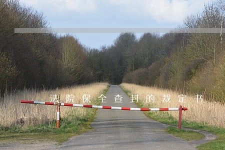 法院保全查封的裁定书 法院保全查封的裁定书