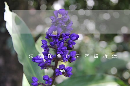 法院保全的房产被拆迁