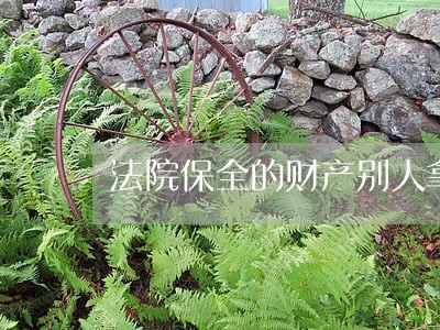 法院保全的财产别人拿走咋办