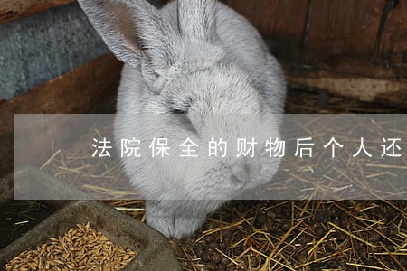 法院保全的财物后个人还能扣押不 法院保全的财物后个人还能扣押不