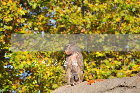 法院保全组 法院保全组