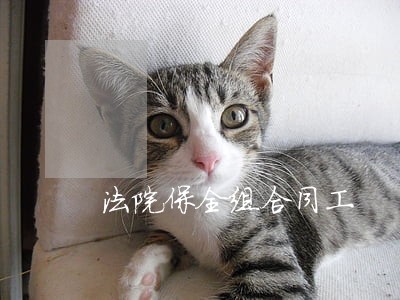 法院保全组合同工 法院保全组合同工