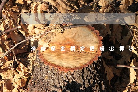 法院保全裁定后提出异议期限 法院保全裁定后提出异议期限