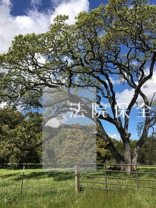 法院保全费速算法 法院保全费速算法