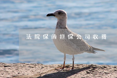法院保函担保公司收费 法院保函担保公司收费