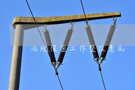法院保密工作整改意见 法院保密工作整改意见