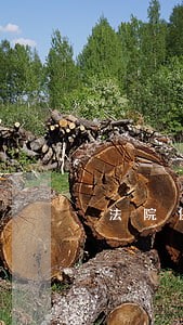 法院保权费用 法院保权费用