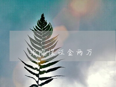 法院保证金两万
