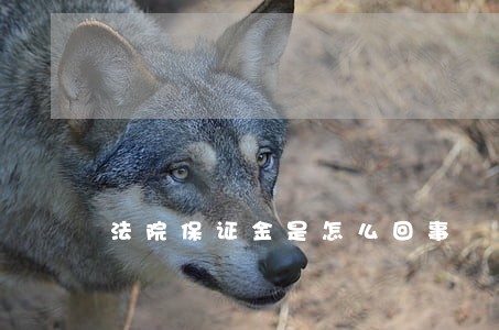 法院保证金是怎么回事 法院保证金是怎么回事