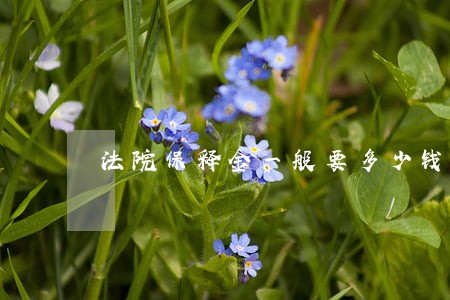 法院保释金一般要多少钱 法院保释金一般要多少钱