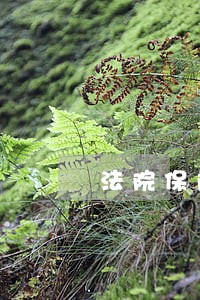 法院保险调解委员会 法院保险调解委员会