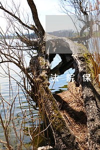 法院保障金怎么退 法院保障金怎么退