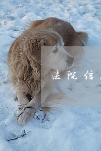 法院信息办授讲 法院信息办授讲
