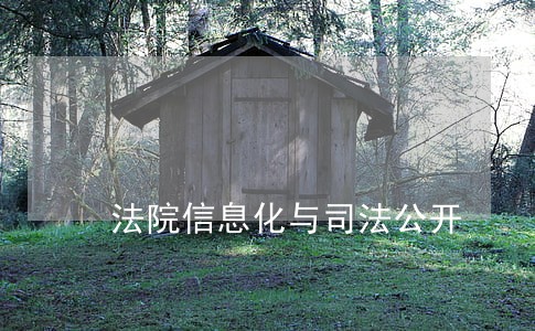 法院信息化与司法公开 法院信息化与司法公开