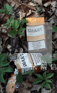 法院信息化建设汇报皇姑区 法院信息化建设汇报皇姑区