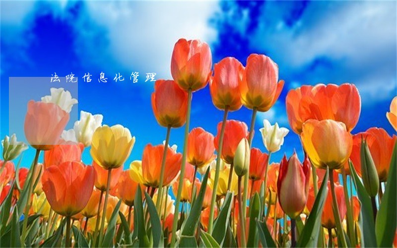 法院信息化管理 法院信息化管理