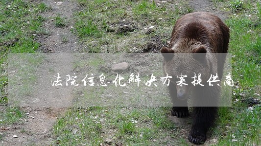 法院信息化解决方案提供商 法院信息化解决方案提供商