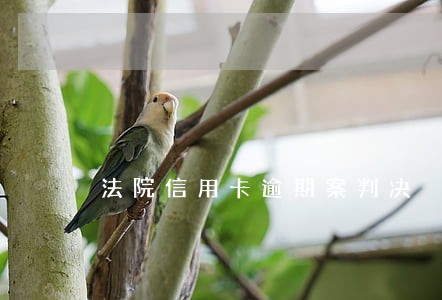 法院信用卡逾期案判决 法院信用卡逾期案判决
