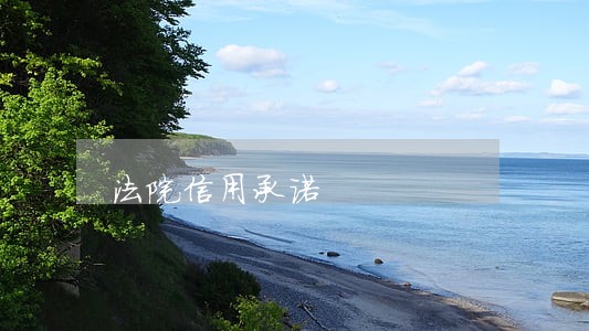 法院信用承诺 法院信用承诺