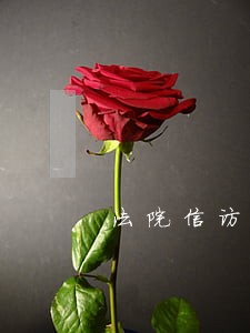 法院信访工作分析研判报告