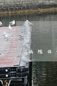 法院信访怎么处理执行案件 法院信访怎么处理执行案件