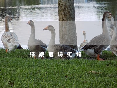 法院信访汇报 法院信访汇报