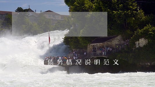 法院债务情况说明范文 法院债务情况说明范文