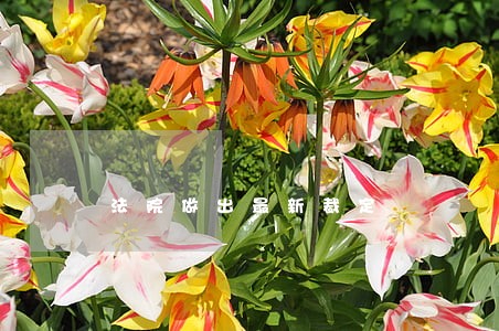 法院做出最新裁定 法院做出最新裁定