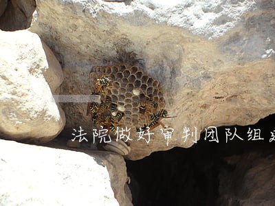 法院做好审判团队组建工作 法院做好审判团队组建工作