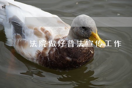 法院做好普法宣传工作 法院做好普法宣传工作