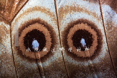 法院做过哪些材料 法院做过哪些材料
