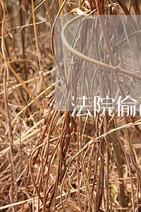 法院偷改证据去哪告 法院偷改证据去哪告